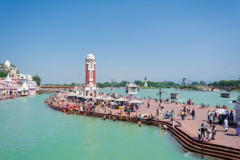 people in park surrounded by body of water during daytime